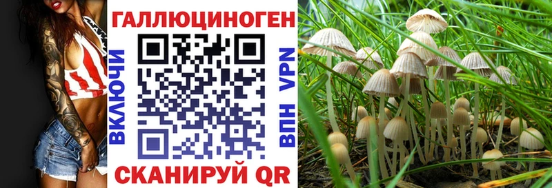 наркота  Выкса  мега ссылки  Галлюциногенные грибы Cubensis 